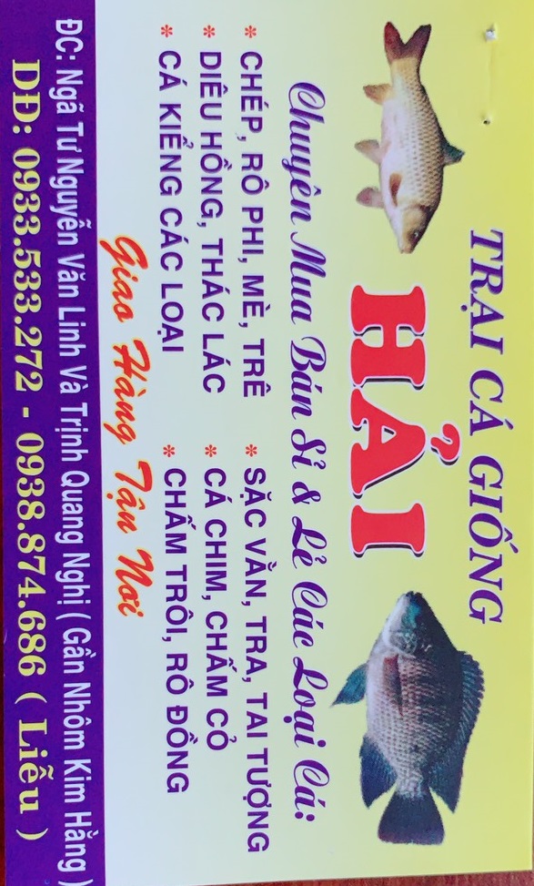 TRẠI CÁ GIỐNG HẢI